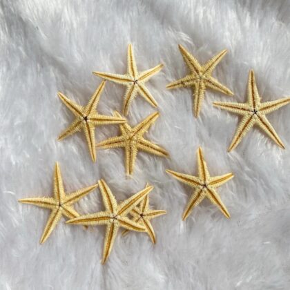 Real  Starfish