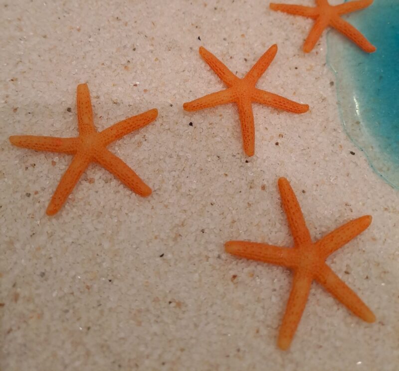 Orange starfish resin art miniature ocean art
