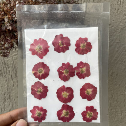 dry pressed flower pack box resin art roses