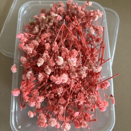 Pink gypsy flower box