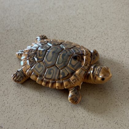 Turtle miniature