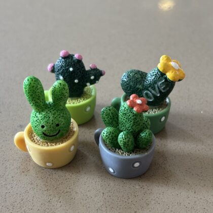 Succulent miniature set of 4