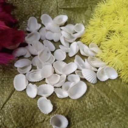 Shells