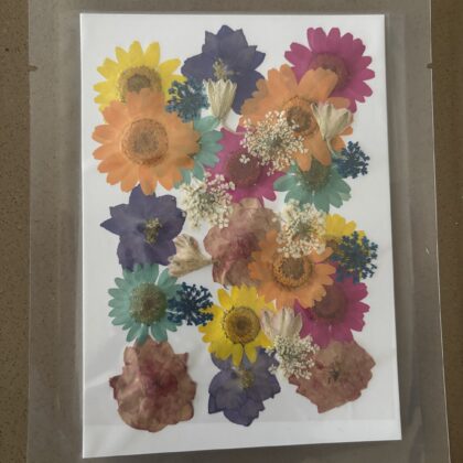 Pressed  flower